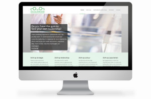 website-zichtopleiderschap