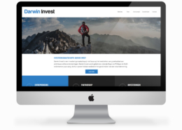 website-laten-bouwen-investeerder